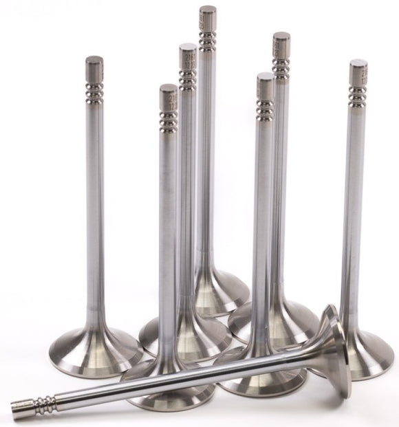 GSC P-D Ford Mustang 5.0L Coyote Gen 3 33mm Head (+1mm) Super Alloy Exhaust Valve - Set of 8